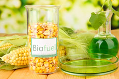 Poplar biofuel availability