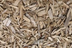 biomass boilers Poplar