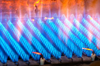 Poplar gas fired boilers