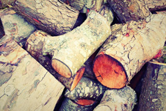 Poplar wood burning boiler costs